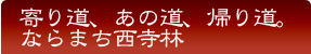 寄り道あの道散歩道ならまち西寺林