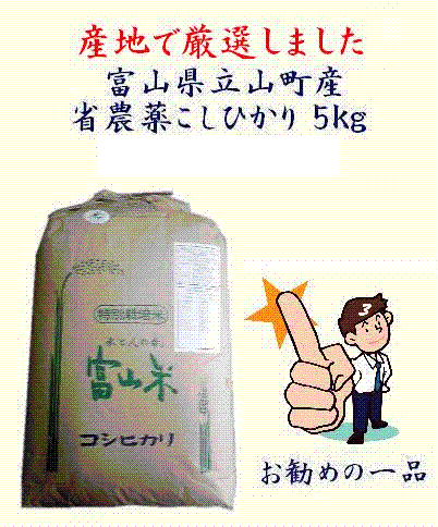 体験ろうそく